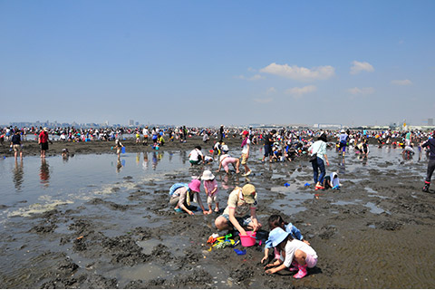 ふなばし三番瀬海浜公園