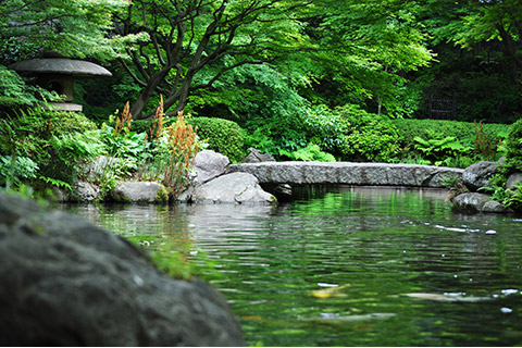 池田山公園