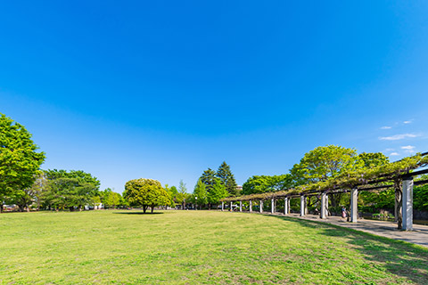 武蔵国分寺公園