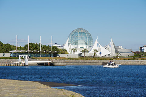 葛西臨海公園