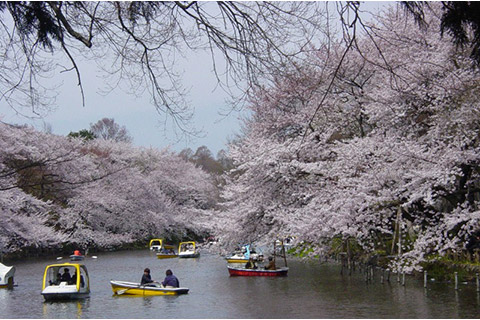 井の頭恩賜公園