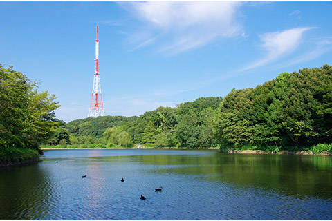 県立三ツ池公園