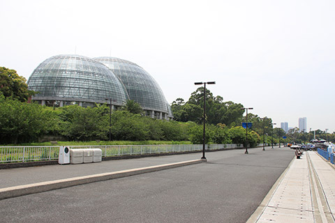 夢の島公園