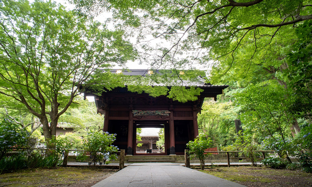 座禅・写経が体験できる寺社