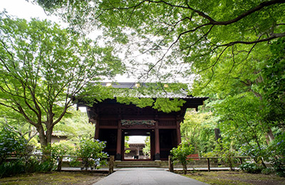 妙本寺