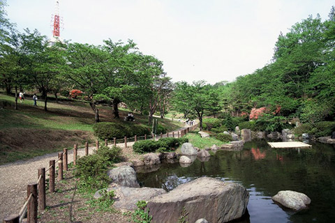 宇都宮八幡山公園